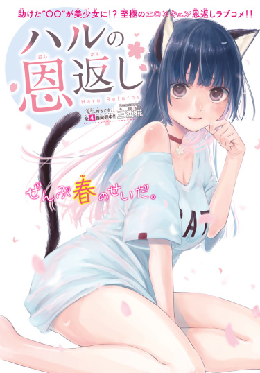 Cover 31311