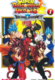 Cover 31549