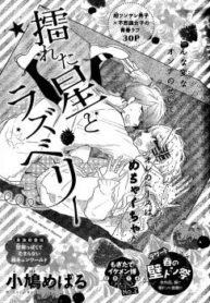 Cover 33011