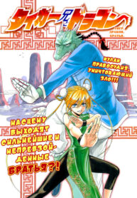 Cover 33259