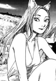 Cover 33537