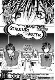 Cover 33935