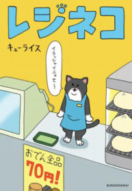 Cover 34038