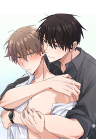 Cover 35663