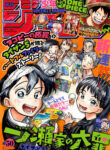 Cover 35954