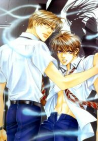 Cover 36546