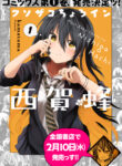 Cover 37061