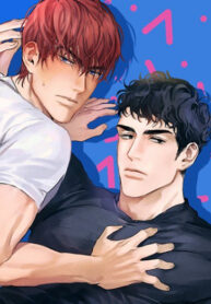 Cover 37849