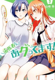 Cover 38013