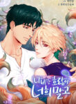 Cover 38251