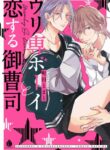 Cover 38658
