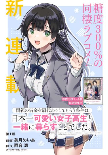Cover 39082
