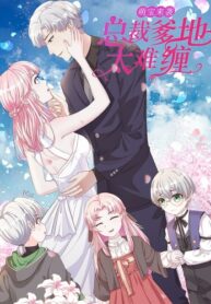 Cover 40271