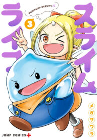 Cover 40789