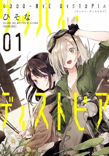 Cover 40991