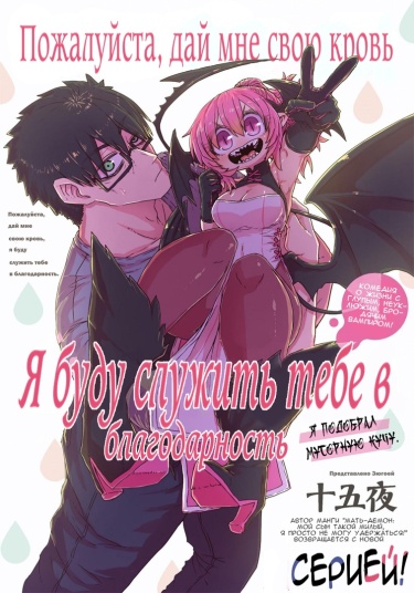 Cover 41240