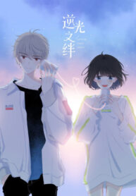 Cover 41306