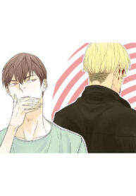 Cover 42629