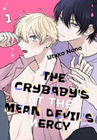 Cover 42658