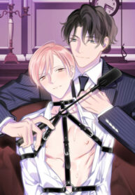 Cover 42668