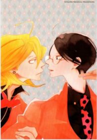 Cover 42982