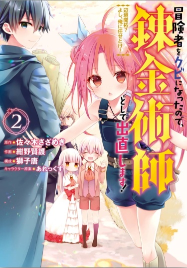 Cover 43420