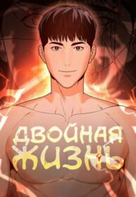 Cover 43520