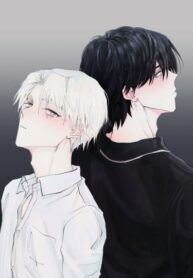Cover 43862