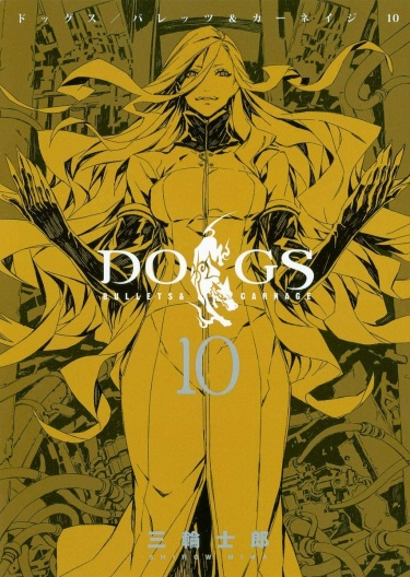 Cover 44081