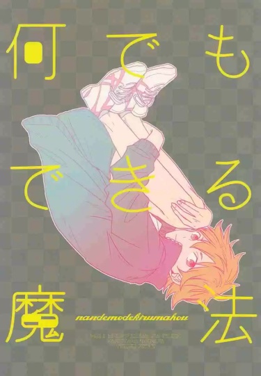 Cover 44313