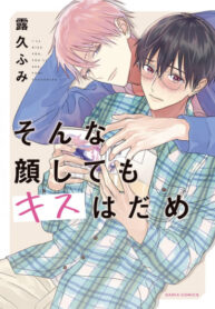 Cover 46065