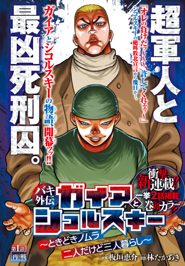Cover 46218