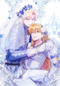Cover 47368