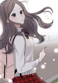 Cover 47528