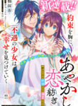 Cover 48165