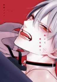 Cover 48423