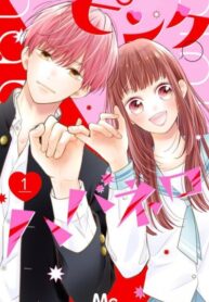 Cover 48800