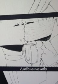 Cover 49381