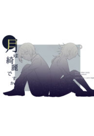 Cover 49982