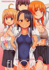 Cover 51055