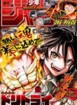 Cover 51813