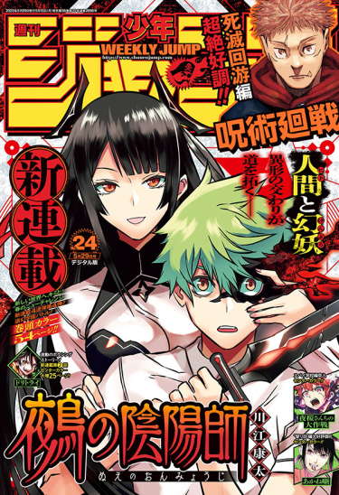 Cover 52735