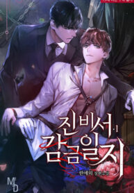 Cover 52737