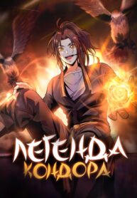 Cover 53250
