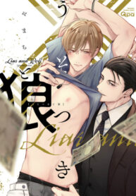 Cover 53302