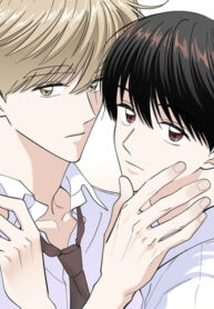 Cover 53482