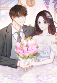 Cover 53626