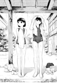 Cover 54739