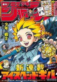 Cover 55119