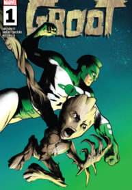 Cover 57027